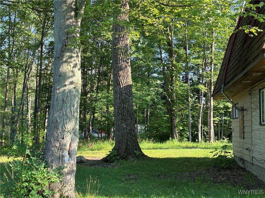 photo undefined: 9497 Harrison Street, Evans NY 14006