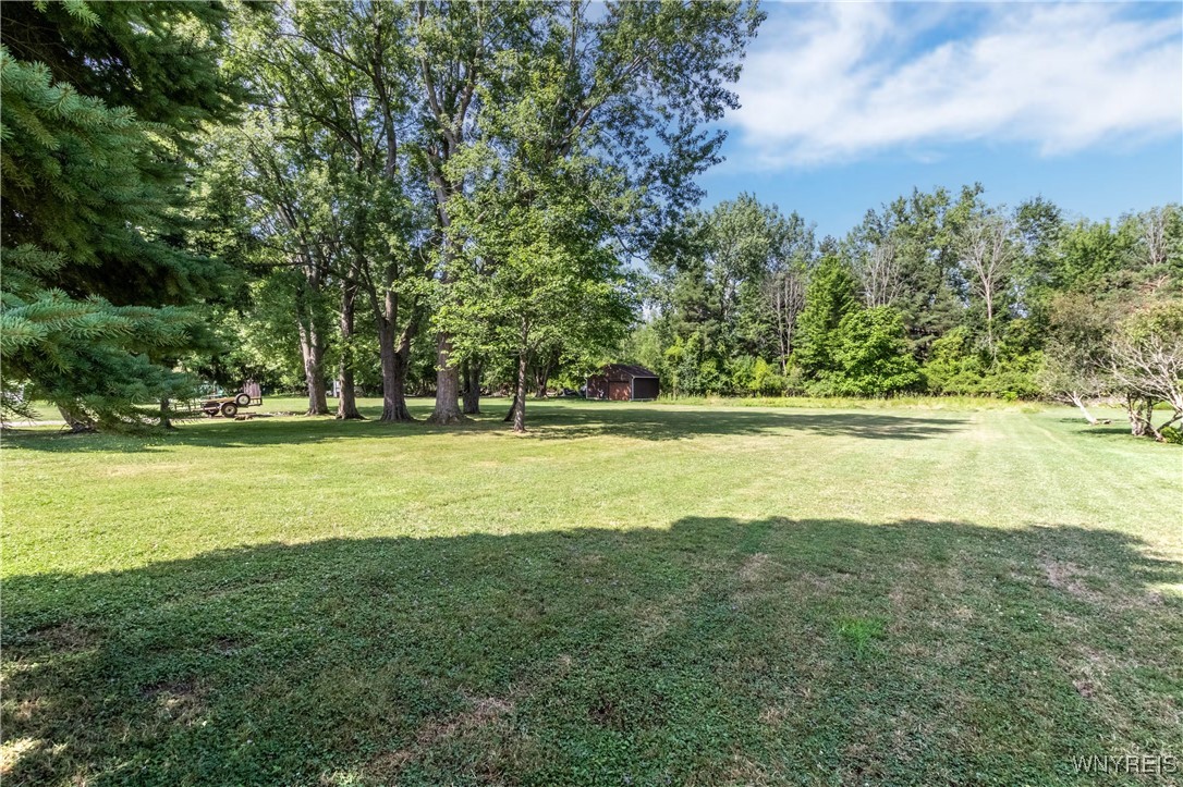 photo 4 : 49 Bielak Road, Orchard Park NY 14127
