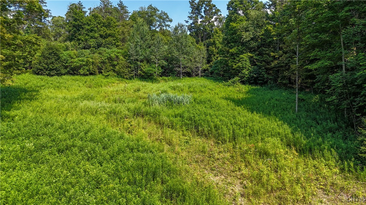 photo undefined:  Clinton Avenue, Groton NY 13073