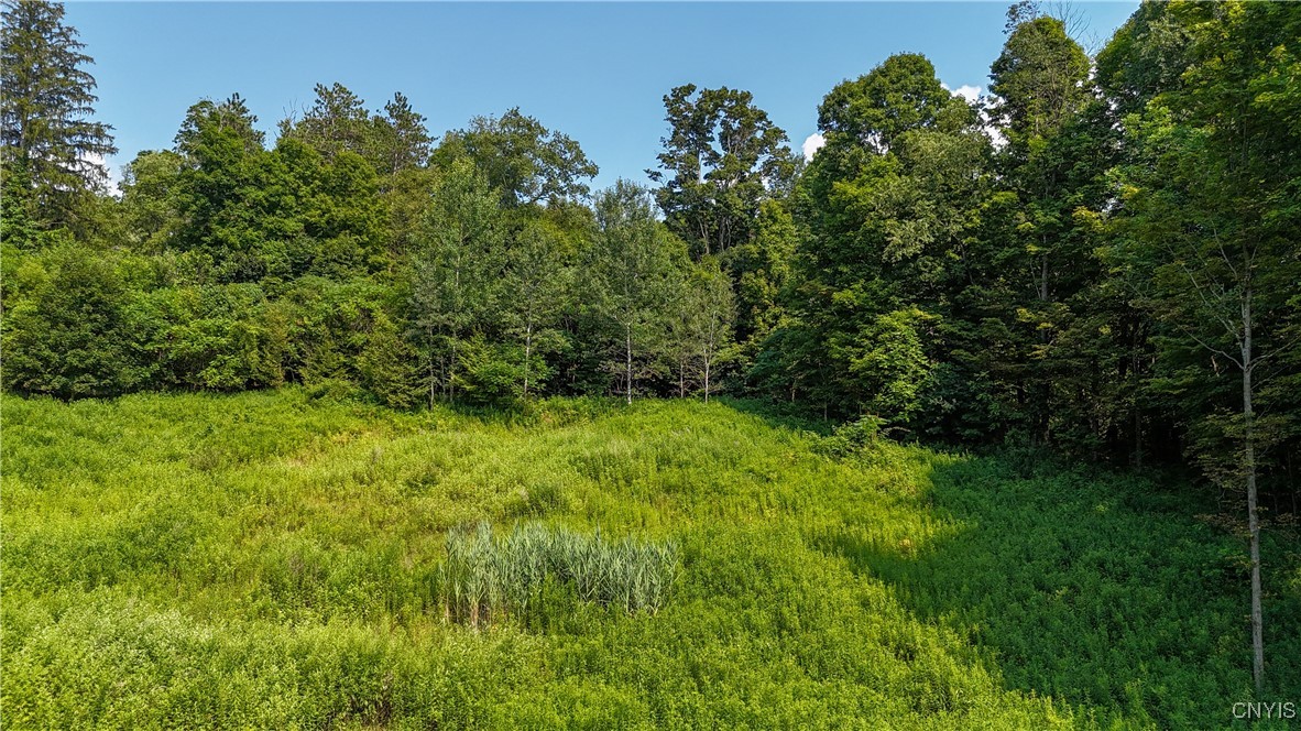 photo xEVgFwZxerLT7jEsKXgEN3MtzAhY:  Clinton Avenue, Groton NY 13073