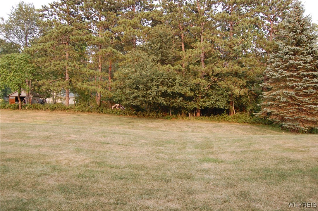 photo undefined: 6055 Quaker Hollow Road 3, Orchard Park NY 14127