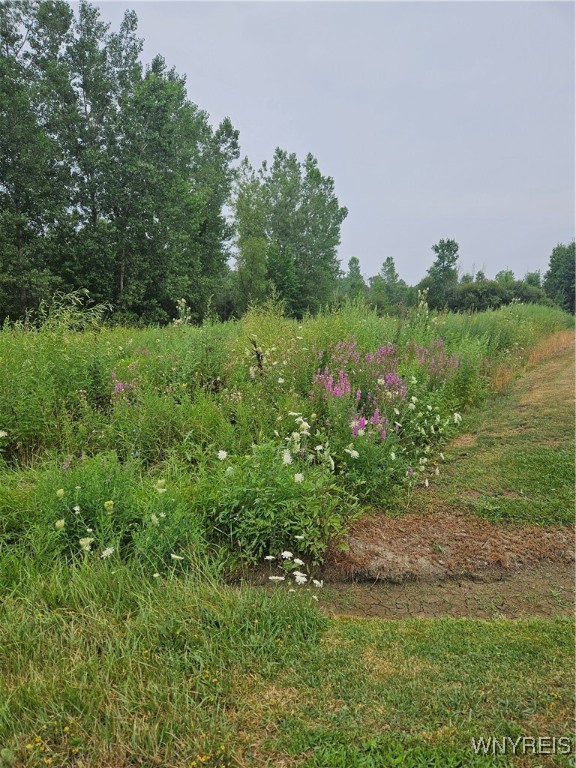 photo undefined: 9317 Tonawanda Creek Road South, Clarence NY 14031