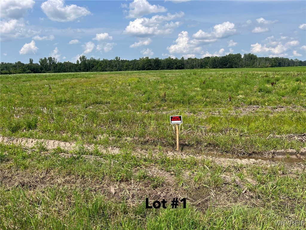 photo undefined: V/L Miland Road, Newstead NY 14001