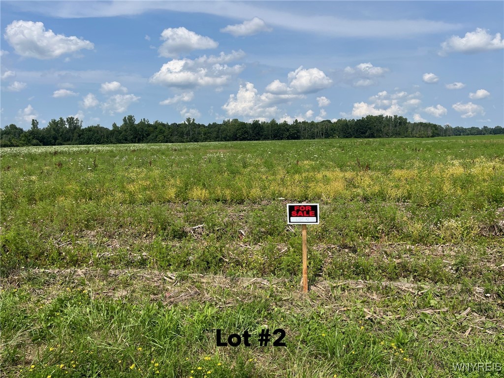 photo 2 : V/L Miland Road, Newstead NY 14001