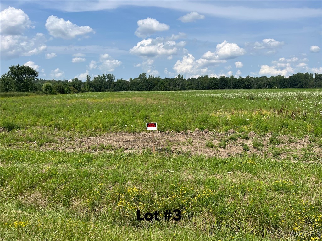 photo 3 : V/L Miland Road, Newstead NY 14001