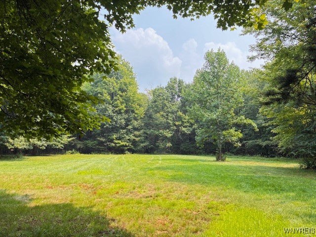 photo undefined: 3433 Kickbush Gulf Road, Eden NY 14057