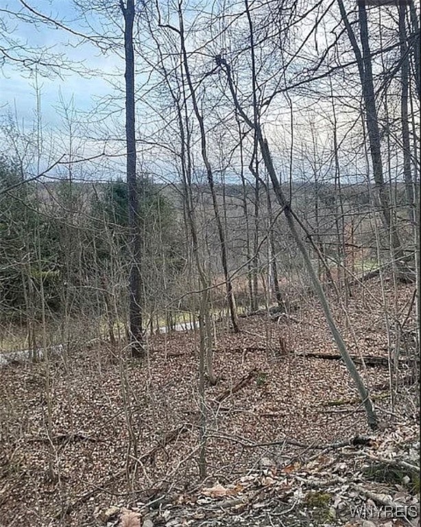 photo undefined: 0 East Holland Road, Holland NY 14080