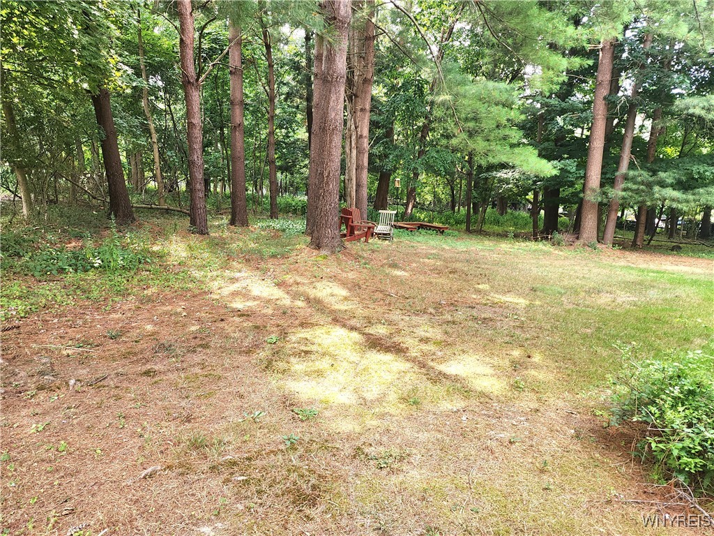 photo undefined: 36 Braunview Way, Orchard Park NY 14127