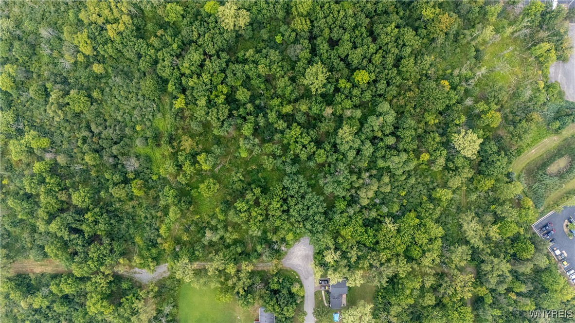 photo ygI3jgo:  Washington Avenue, Orchard Park NY 14127