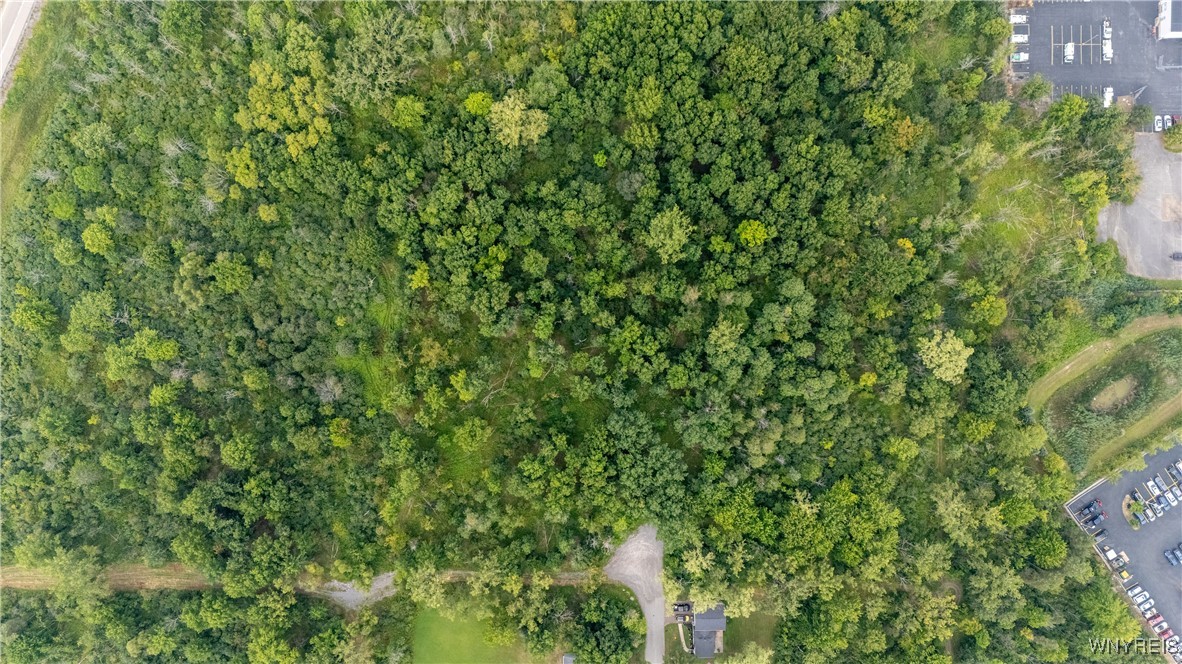 photo 2 :  Washington Avenue, Orchard Park NY 14127