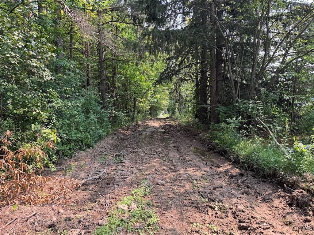 photo undefined:  Allen Road, Sardinia NY 14055