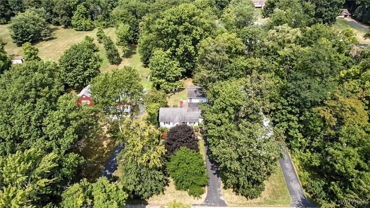 photo 3 : 6218 Armor Duells Road, Orchard Park NY 14127