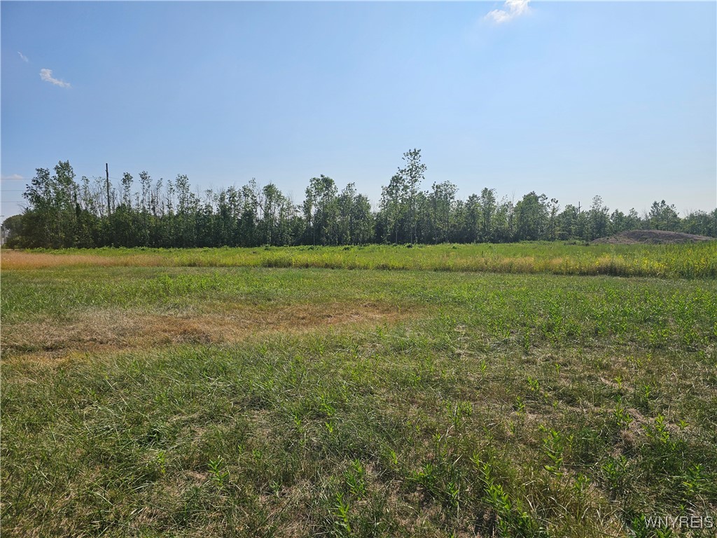 photo undefined:  Clarence Center Road, Newstead NY 14001