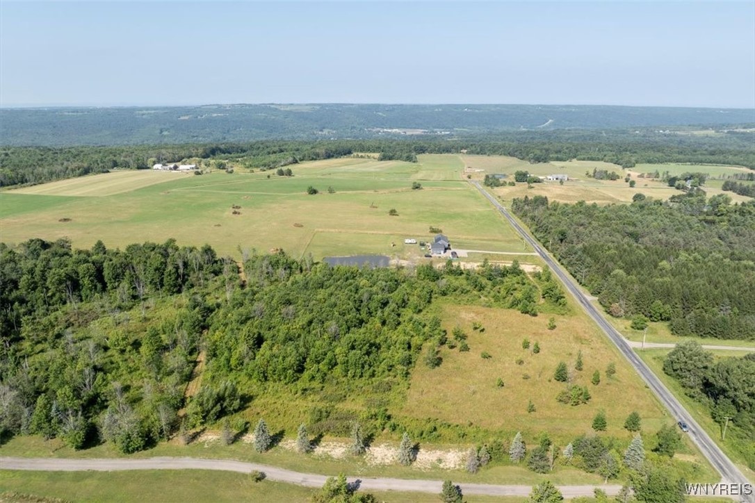 photo 3 :  Murray Hill Road, Colden NY 14033