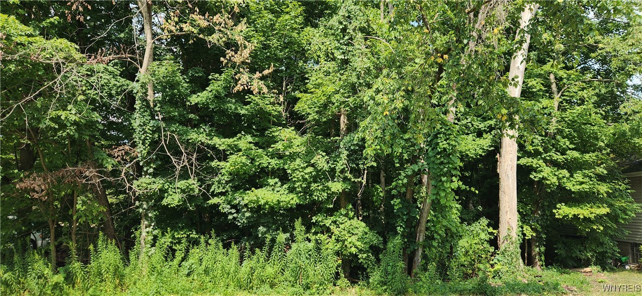 photo undefined: V/L Boston State Road, Boston NY 14025