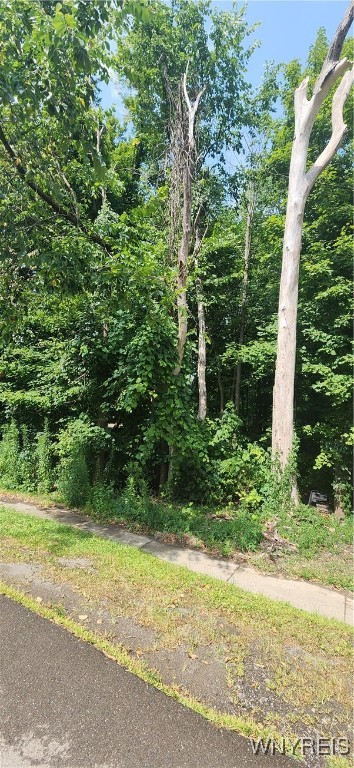 photo RDc: V/L Boston State Road, Boston NY 14025
