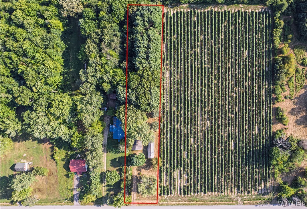 photo undefined: 1349 Cain Road, Brant NY 14006