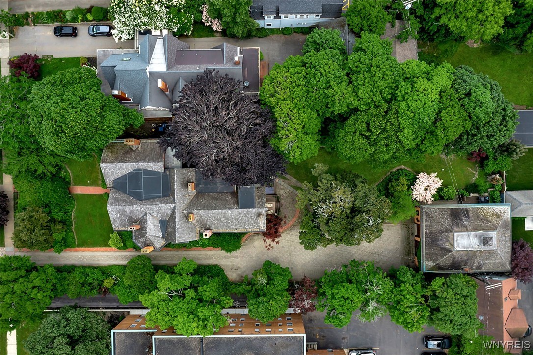 photo undefined: 801 West Ferry Street, Buffalo NY 14222