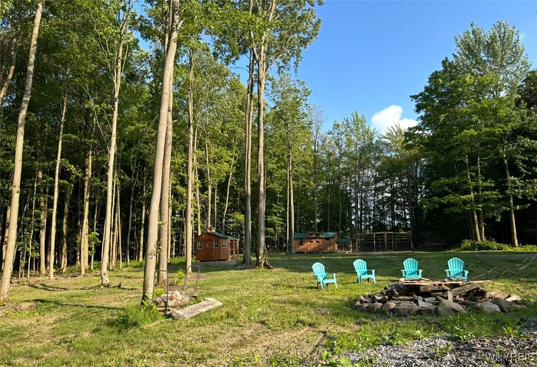 photo 2 : 7777 Aldrich Hill Road, Cherry Creek NY 14723