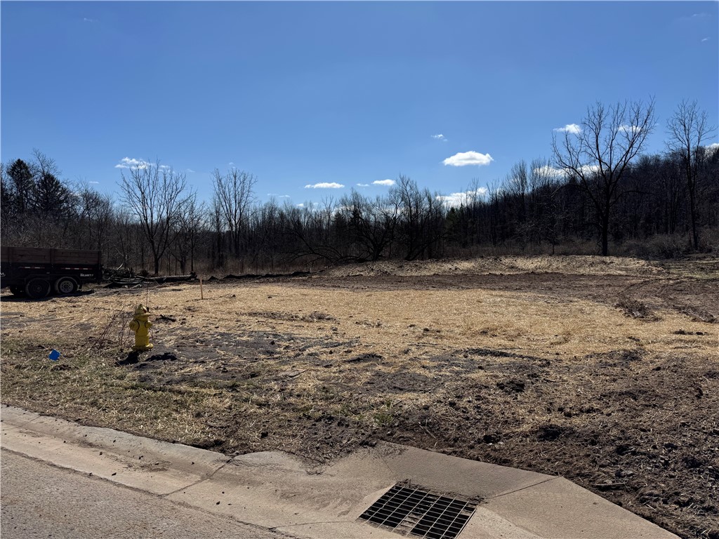 photo 1 : 6751 Coyler Crossing, Victor NY 14564