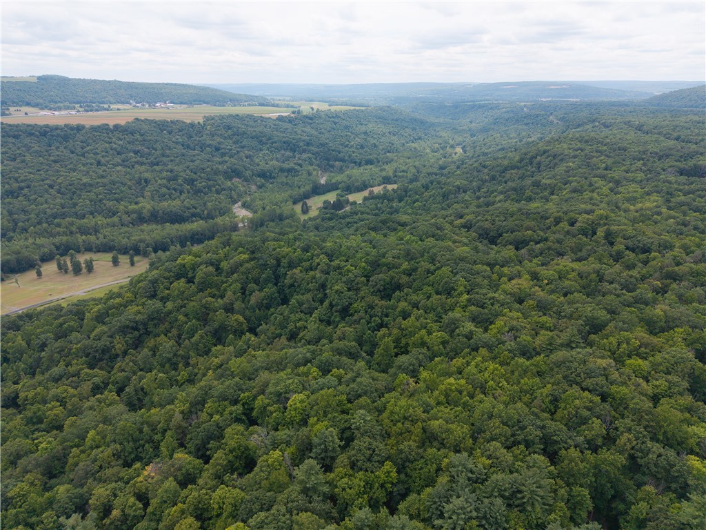 photo undefined: 0 Poags Hole Road, Dansville NY 14437