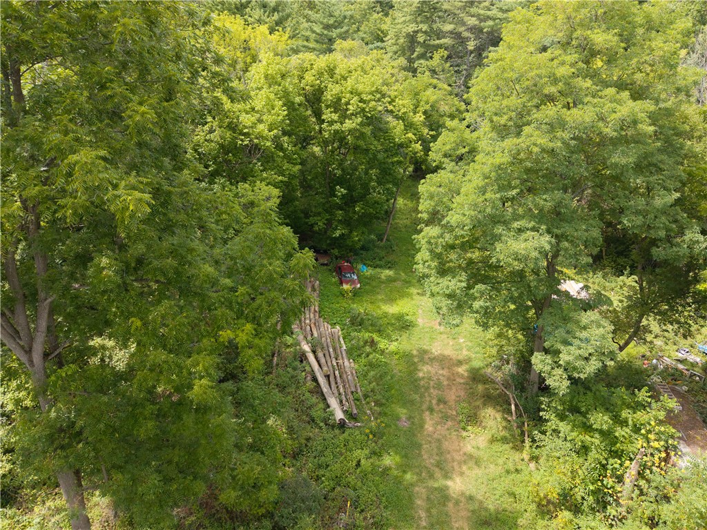 photo undefined: 0 Poags Hole Road, Dansville NY 14437