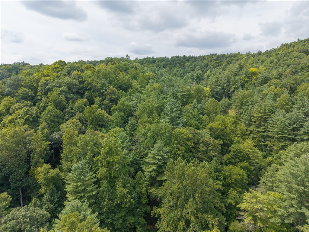 photo 2 : 0 Poags Hole Road, Dansville NY 14437