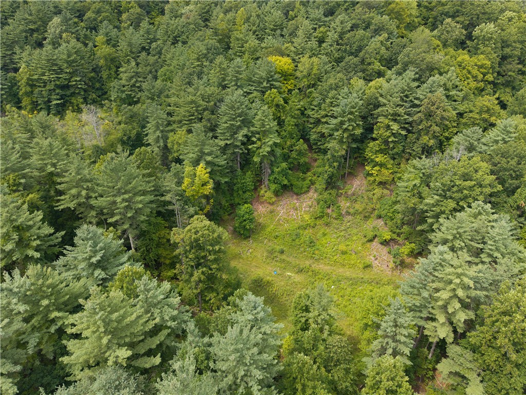photo 3 : 0 Poags Hole Road, Dansville NY 14437