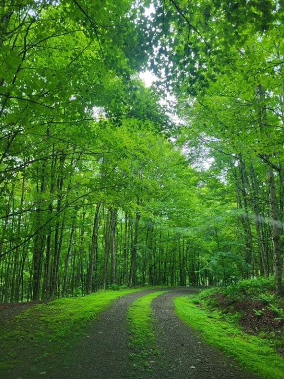 photo undefined: 2074 Bramley Mountain Road, Bovina NY 13740