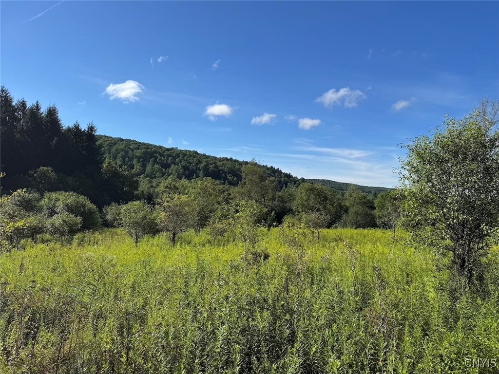 photo -wt2iZ4kIl6H5Xko:  East Valley Road, Alfred NY 14806