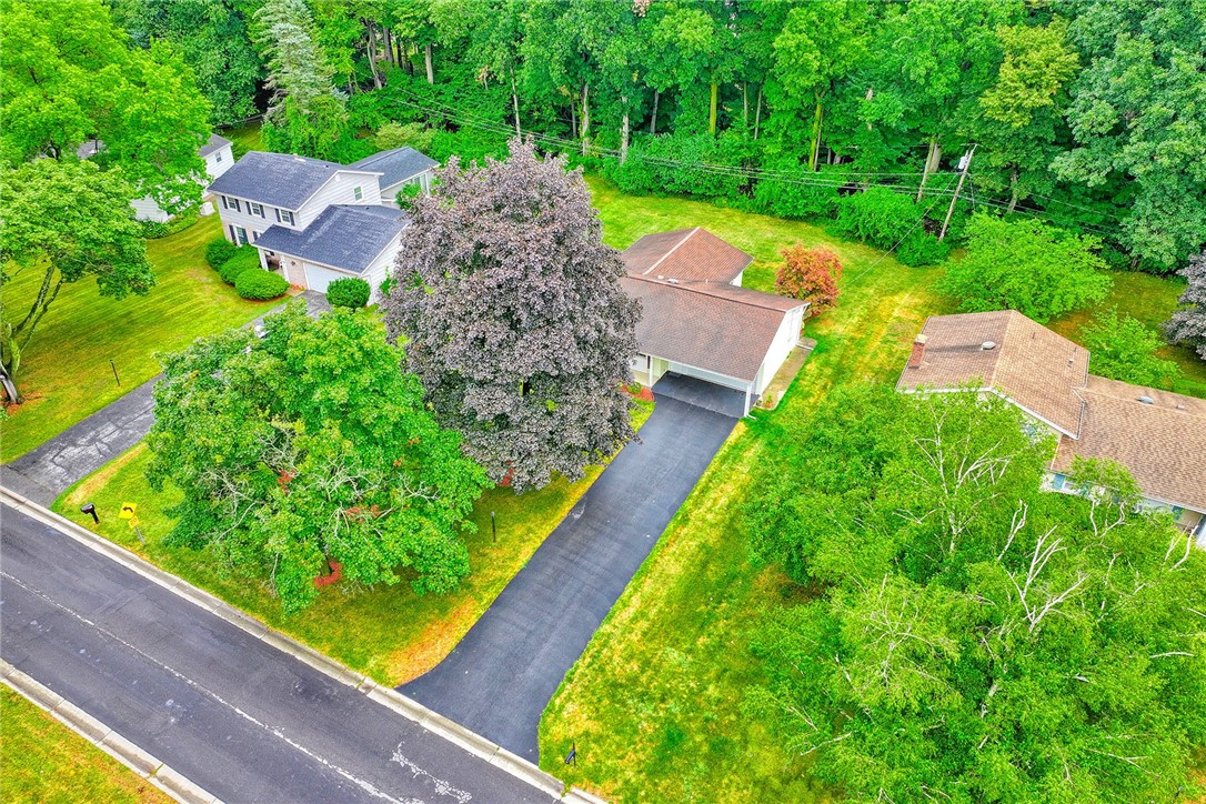photo 3 : 21 Red Bud Road, Chili NY 14624