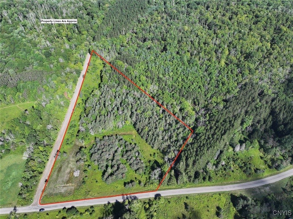 photo 1 :  Lynch Road, Alfred NY 14806
