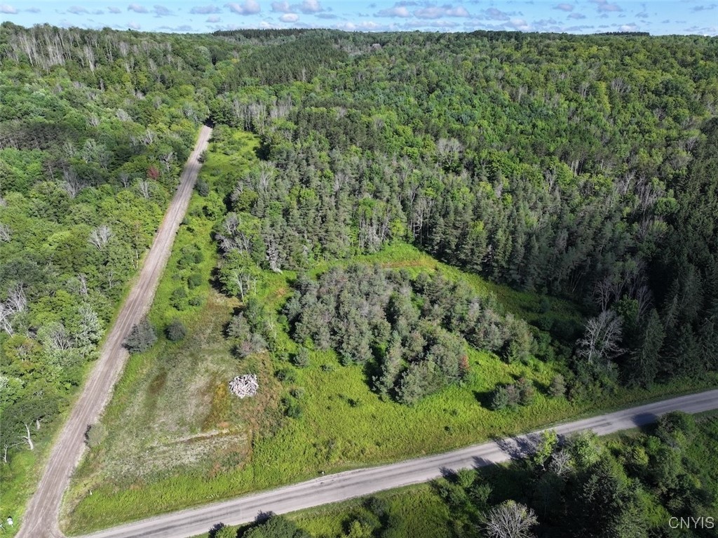 photo 3 :  Lynch Road, Alfred NY 14806