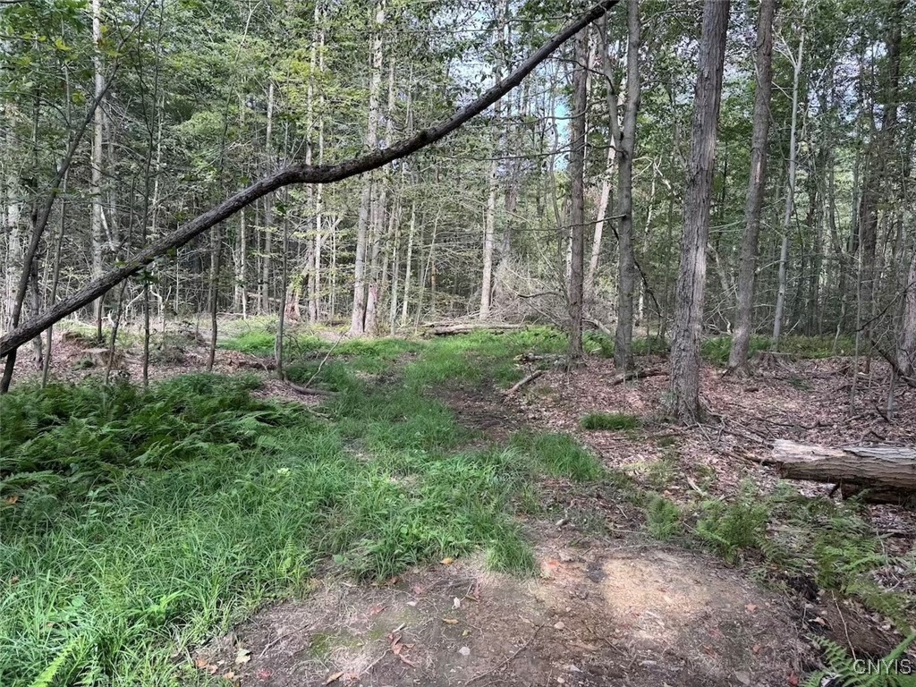photo 6e4-LHXkbwLhAFT8:  Allen Road, Sardinia NY 14055