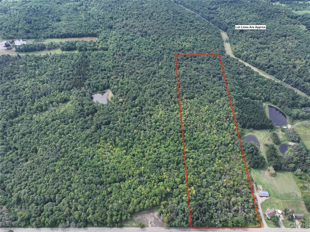 photo undefined:  Allen Road, Sardinia NY 14055