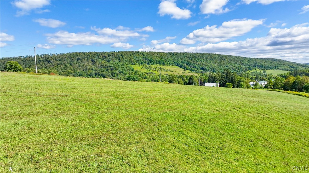 photo 4 : 20A Parker Hill Road, Georgetown NY 13072