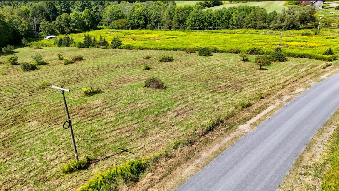 photo 4 : 100 Pomeroy Road, Franklin NY 13775
