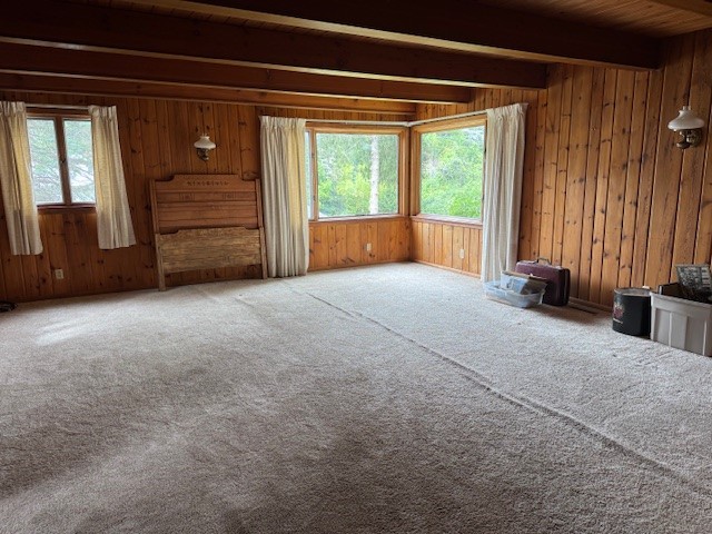 photo undefined: 199 Rauber Street, Wellsville NY 14895