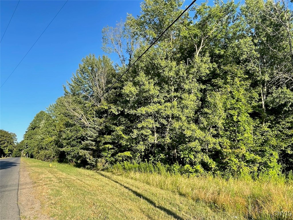 photo 3 : 0 Co Rt 176, Volney NY 13069