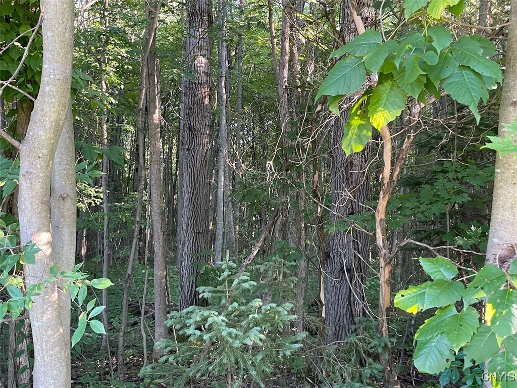 photo undefined: 0 Co Rt 176, Volney NY 13069