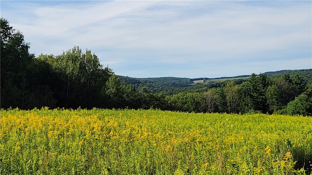 photo pCqkOuqX23-G4MMTpOvEINruNg: 0 Hardknocks Road, Unadilla NY 13849