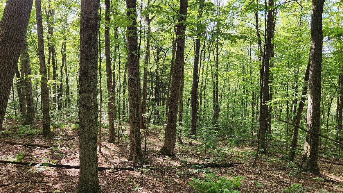 photo undefined: 0 Hardknocks Road, Unadilla NY 13849