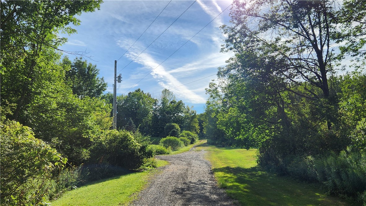 photo 2 : 0 Hardknocks Road, Unadilla NY 13849