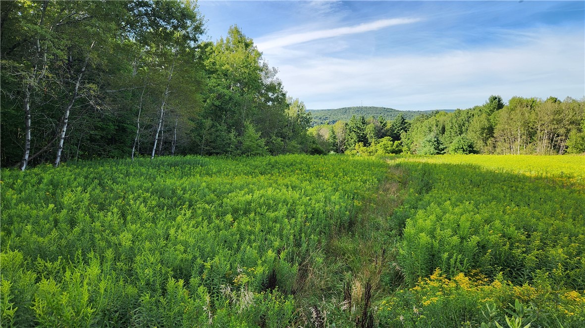 photo 4 : 0 Hardknocks Road, Unadilla NY 13849