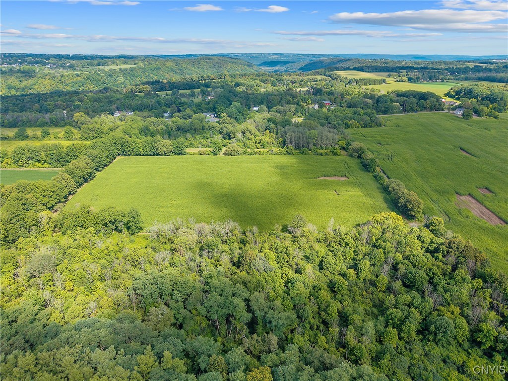 photo 3 :  Rockwell Road, Marcellus NY 13108