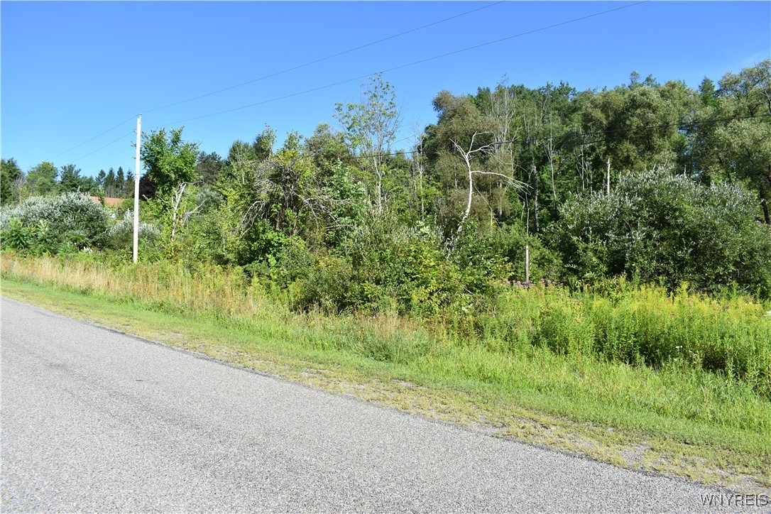 photo undefined: 9190 Ball Road, Otto NY 14719