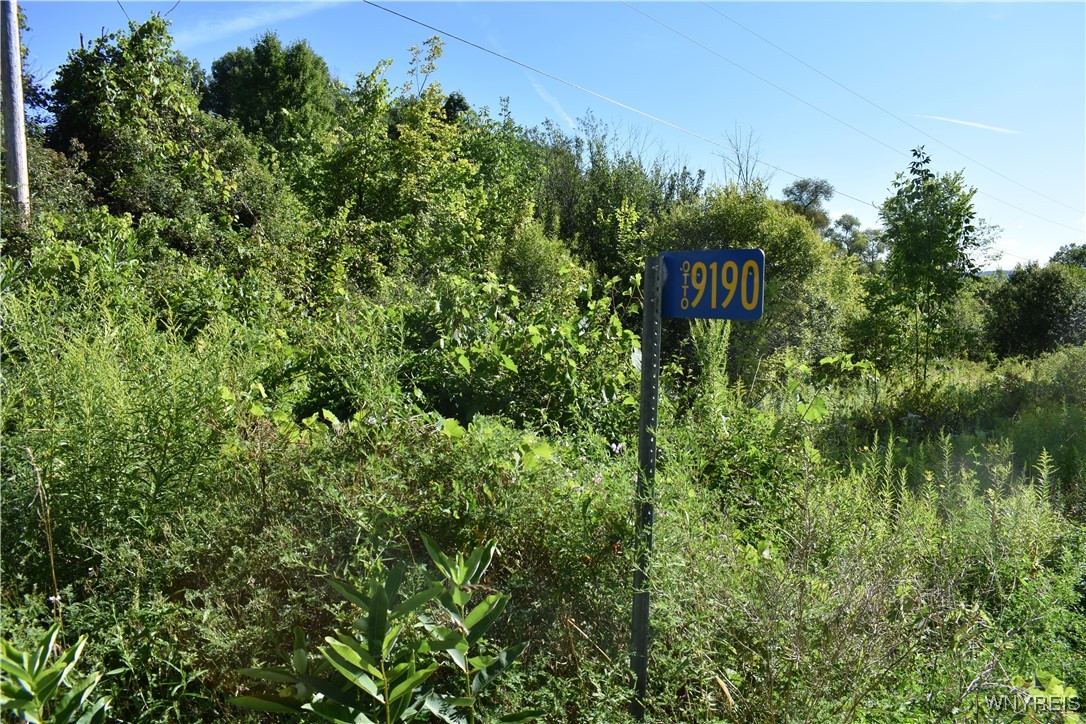 photo kXORvaqy5whnqzZhi08Dhl9-Ijs: 9190 Ball Road, Otto NY 14719