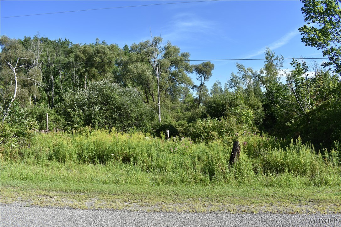 photo 2 : 9190 Ball Road, Otto NY 14719