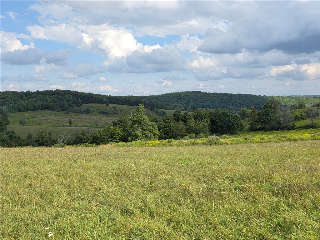 photo undefined: 12078 Kelly Hill Road, Caton NY 14871