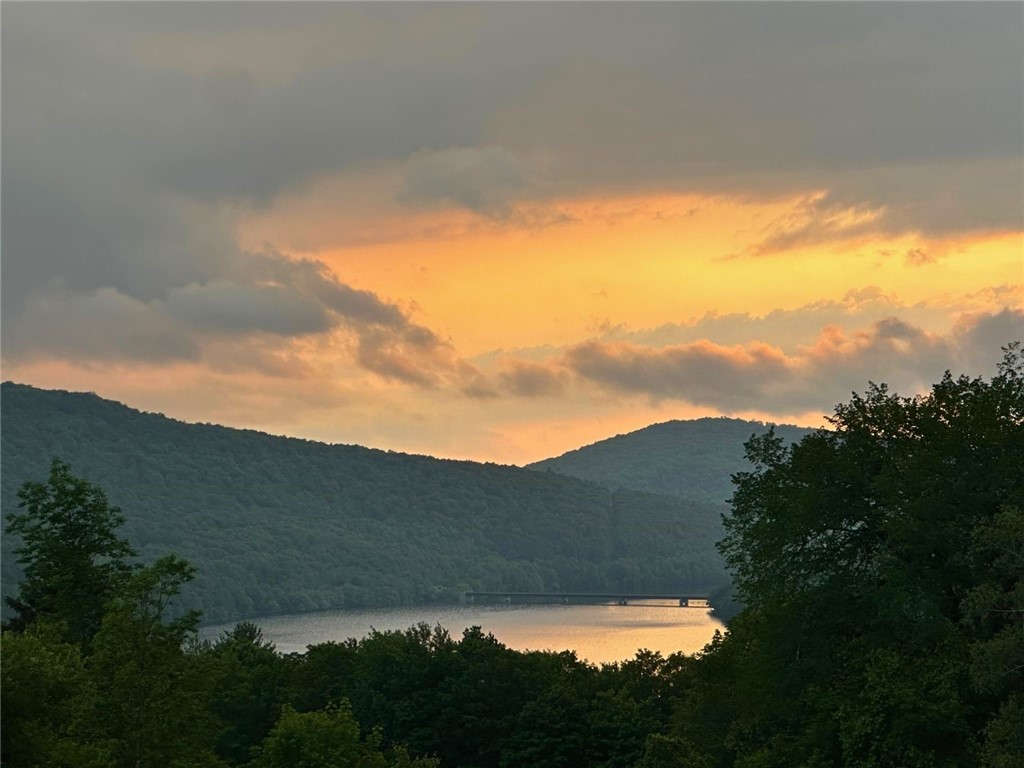 photo 4 : 138 Clarke Lane, Andes NY 13731